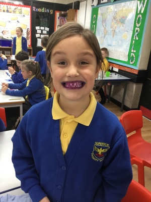 Sycamores teeth!